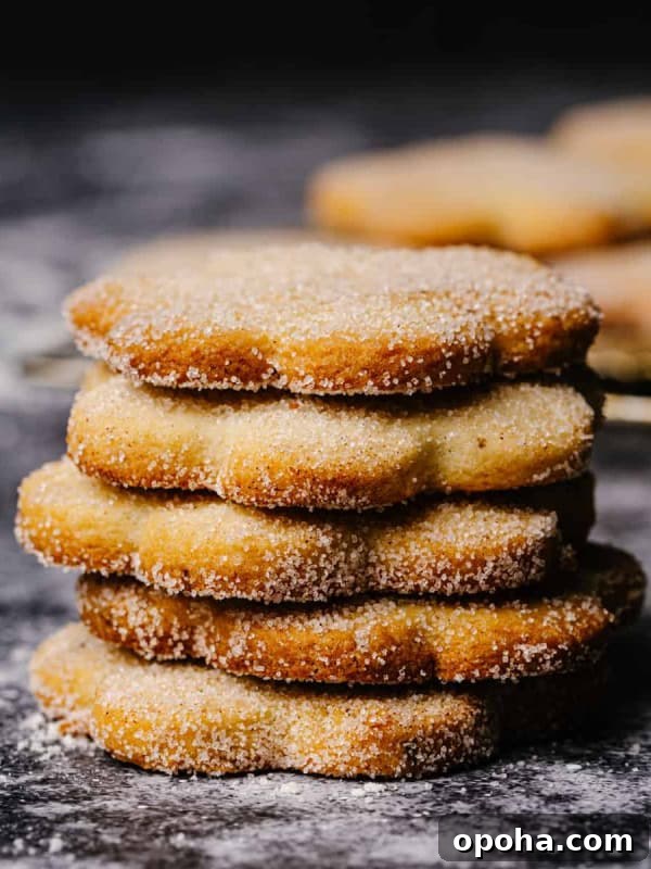 Biscochitos stacked on a gray granite surface.