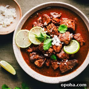 A bowl of Carne Adovada garnished with lime slices, chopped onions, and cilantro.