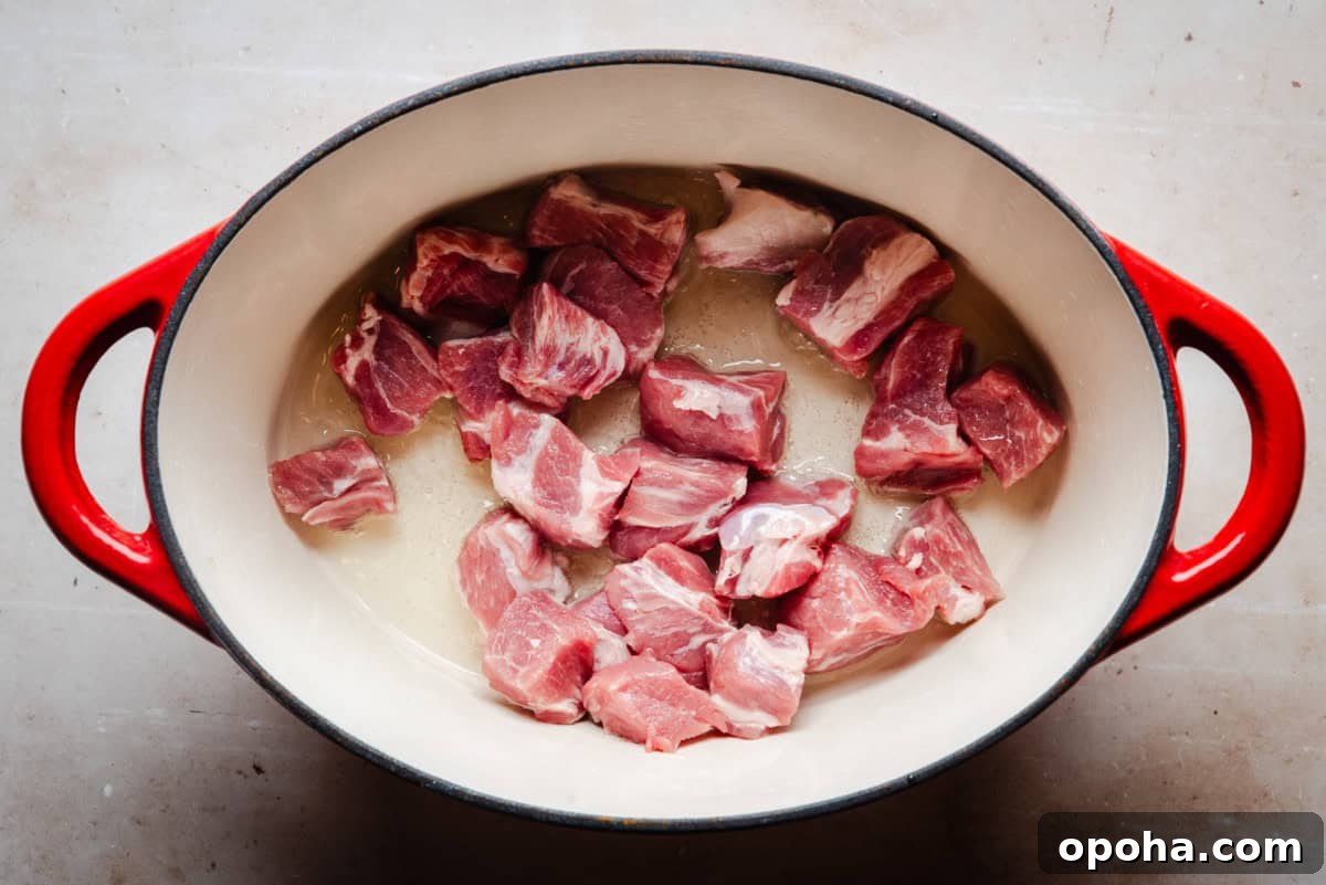 Authentic New Mexican Carne Adovada Recipe 4 Chunks of raw pork shoulder in a large, oval-shaped red pot on a light countertop.