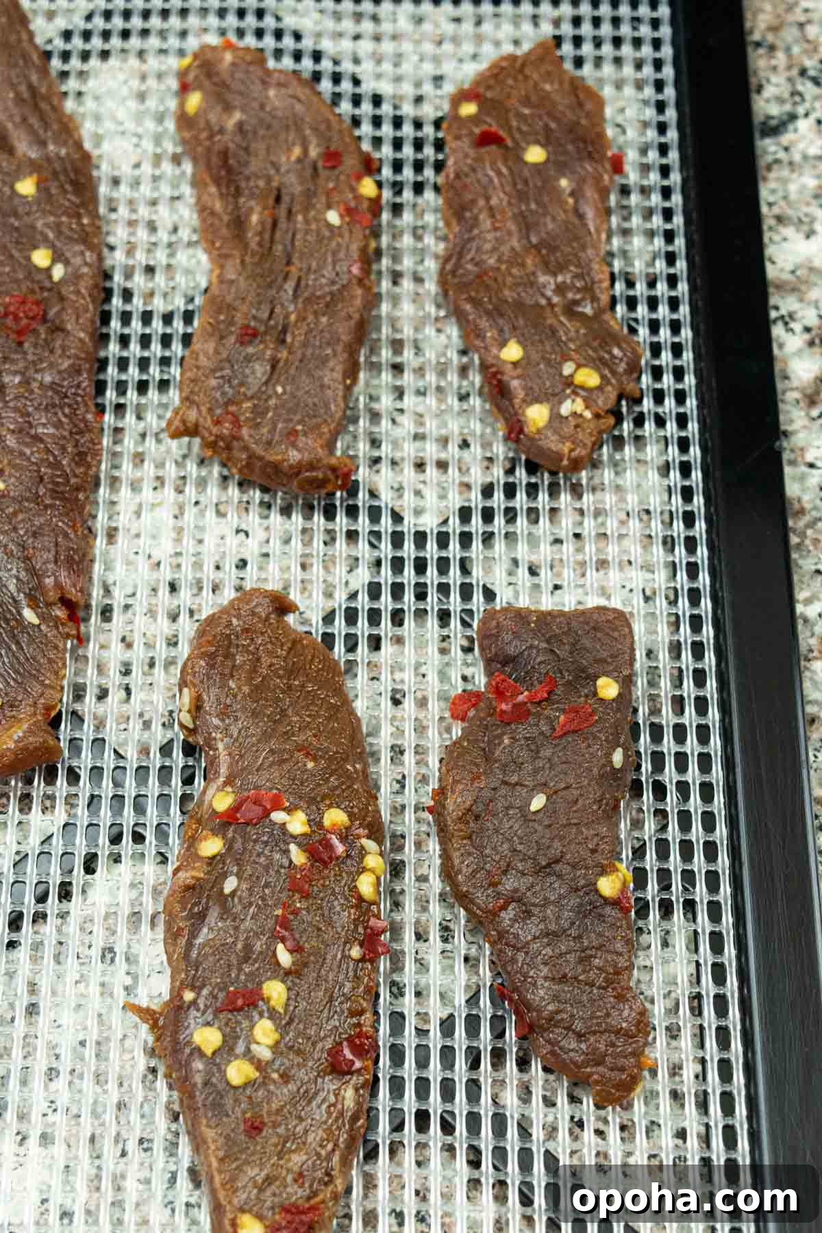 Sesame-Glazed Venison Jerky Recipe: Savory Sweet Game Meat Snack 7 venison jerky on dehydrator tray ready to be dehydrated into jerky