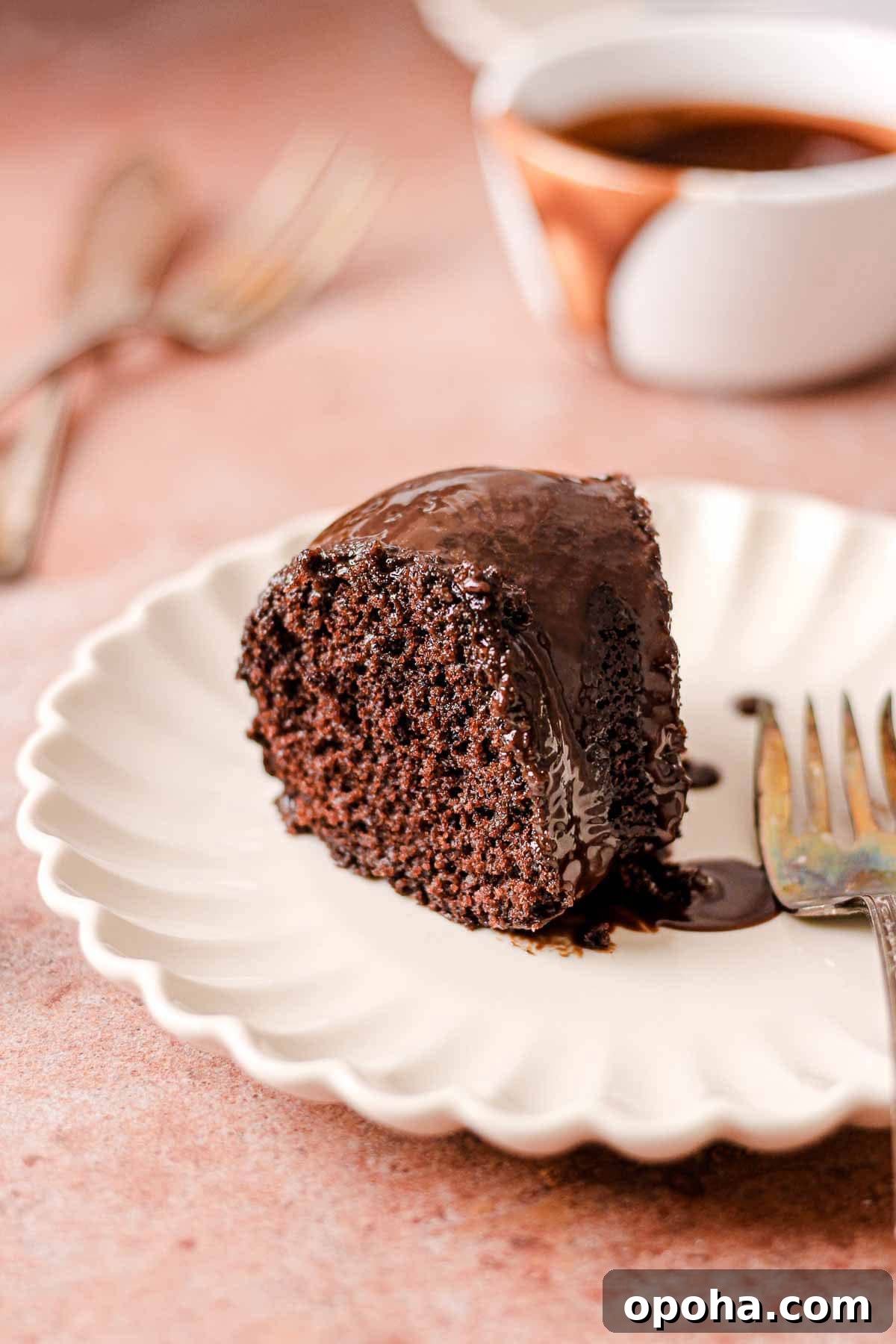 Decadent Chocolate and Peanut Butter Bundt Cake Recipe 2 slice of chocolate bundt cake on a white plate for baking blog