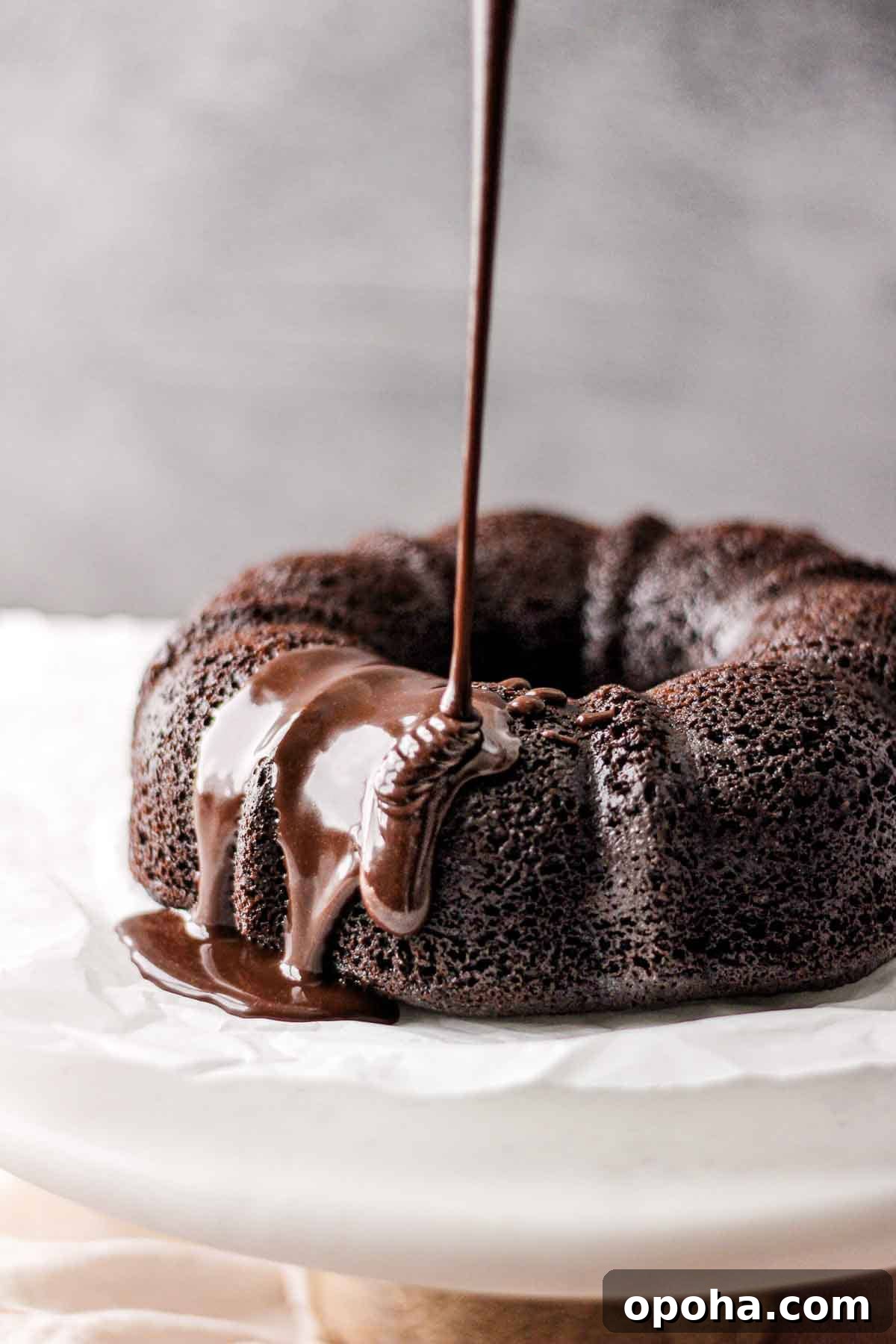 Decadent Chocolate and Peanut Butter Bundt Cake Recipe 3 img 5125 2