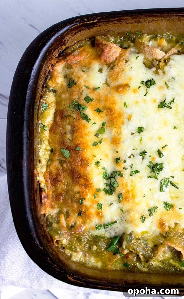 Green Chicken Enchiladas with Tangy Tomatillo Sauce 3 overhead: green chicken enchiladas