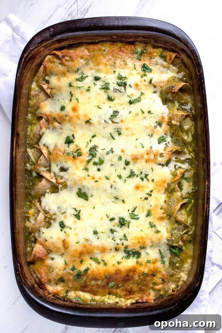 Green Chicken Enchiladas with Tangy Tomatillo Sauce 4 overhead: pan of enchiladas verdes de pollo covered with melted white cheese