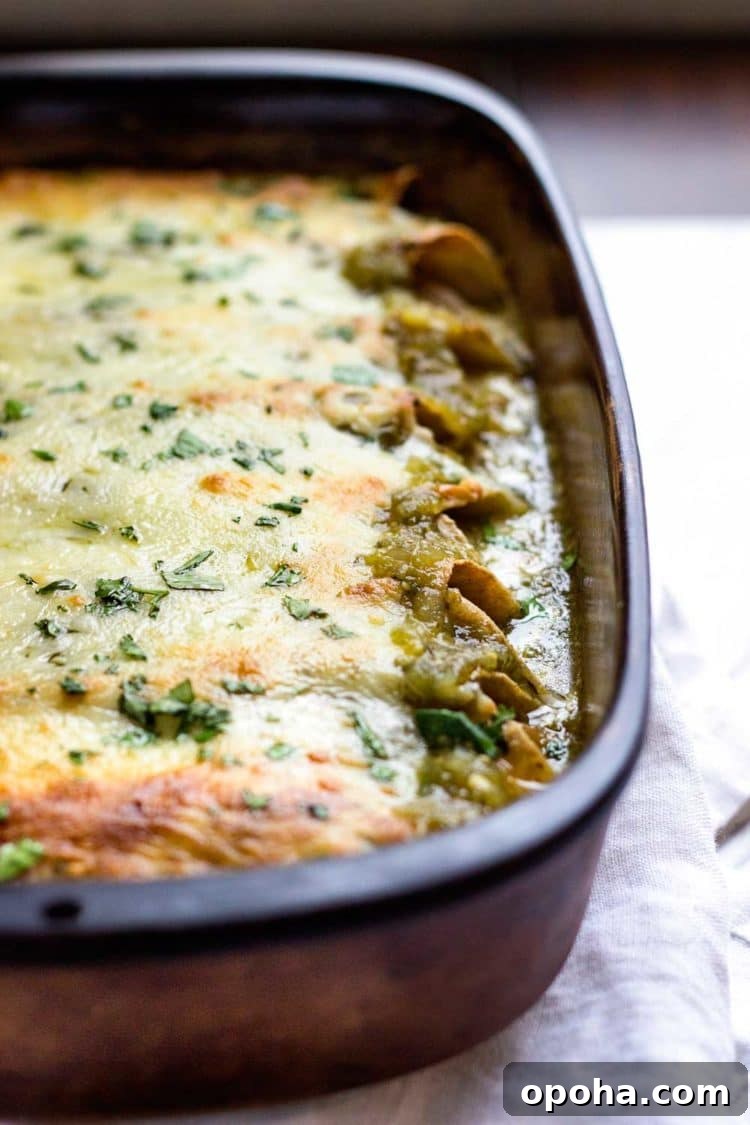 Green Chicken Enchiladas with Tangy Tomatillo Sauce 8 green chicken enchiladas in casserole dish