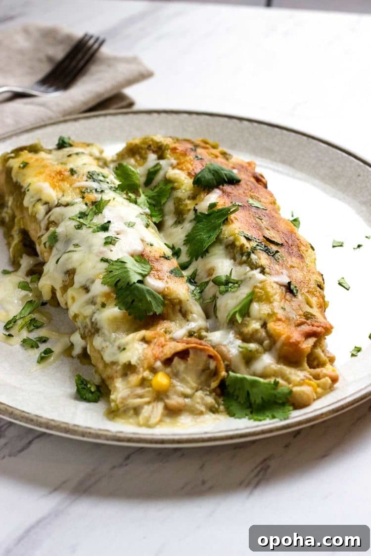 Green Chicken Enchiladas with Tangy Tomatillo Sauce 9 shredded white meat and salsa verde wrapped in corn tortillas, covered with cheese