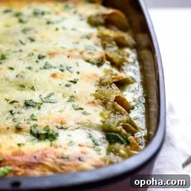 Green Chicken Enchiladas with Tangy Tomatillo Sauce 10 pan of green chicken enchiladas
