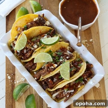 birria taco served on a white rectangular platter.