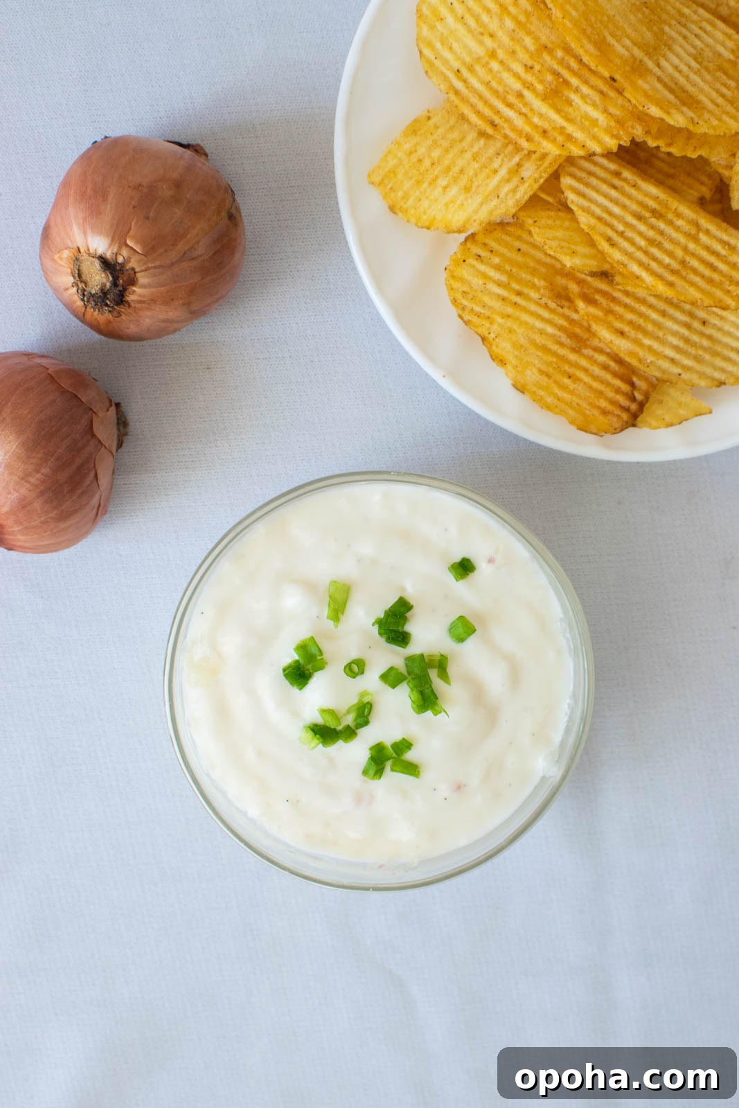 Trending Amish Recipes: Old-Fashioned Onion Dip, Hot Chicken Salad & German Chocolate Pie 2 Old-Fashioned Amish Onion Dip