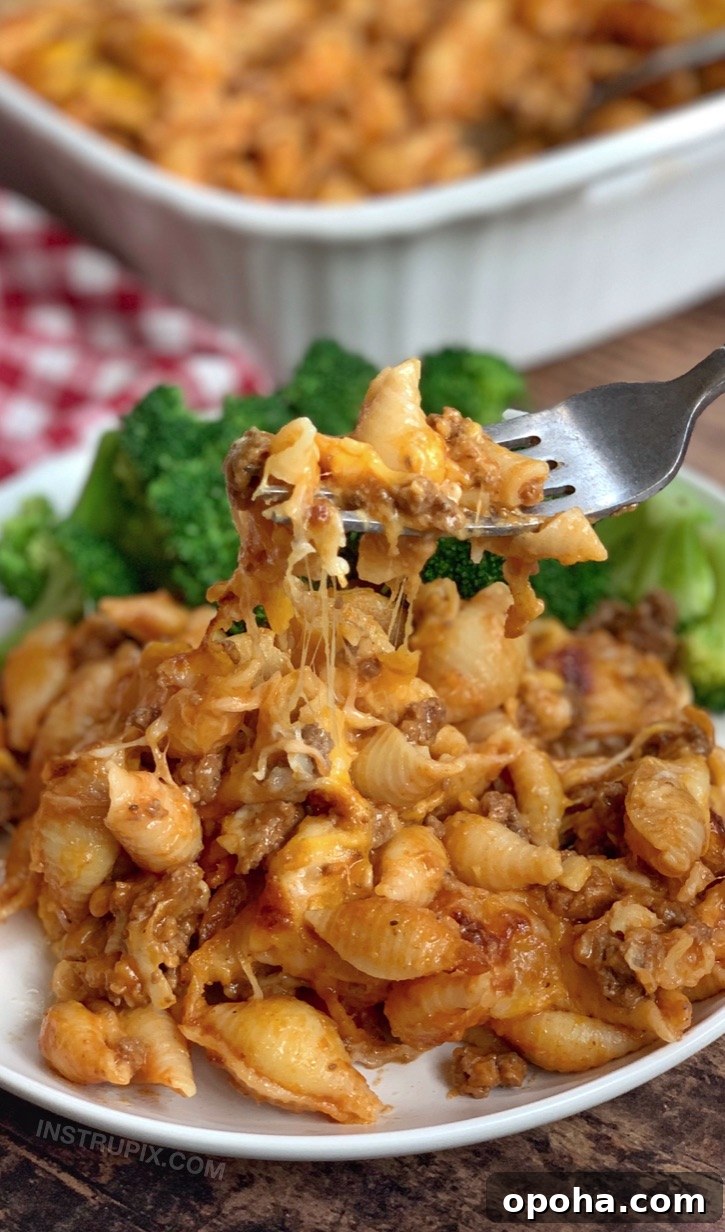 Cheesy Hamburger Dinner Casserole Recipe for Weeknight Meals 7 Quick and easy dinner casserole made with ground beef, tomato soup, pasta shells and cheese: Easy Cheeseburger Casserole Recipe