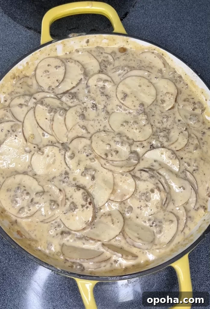 Casserole before baking