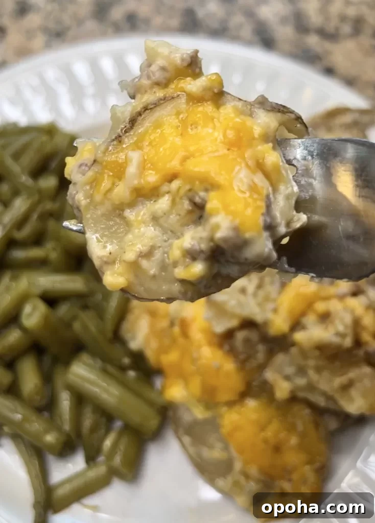 Casserole close-up
