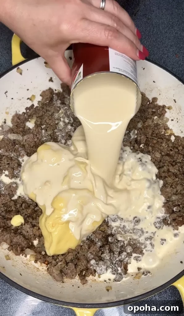 Cheesy beef mixture