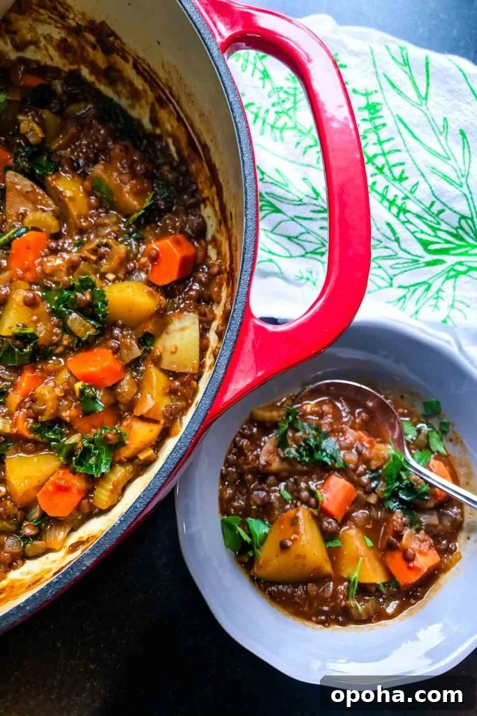 Hearty Vegan Beef-Style Stew Recipe 2 Stew in a dutch oven and bowl with lentils, carrots, potatoes, kale and a rich brown saucy broth.