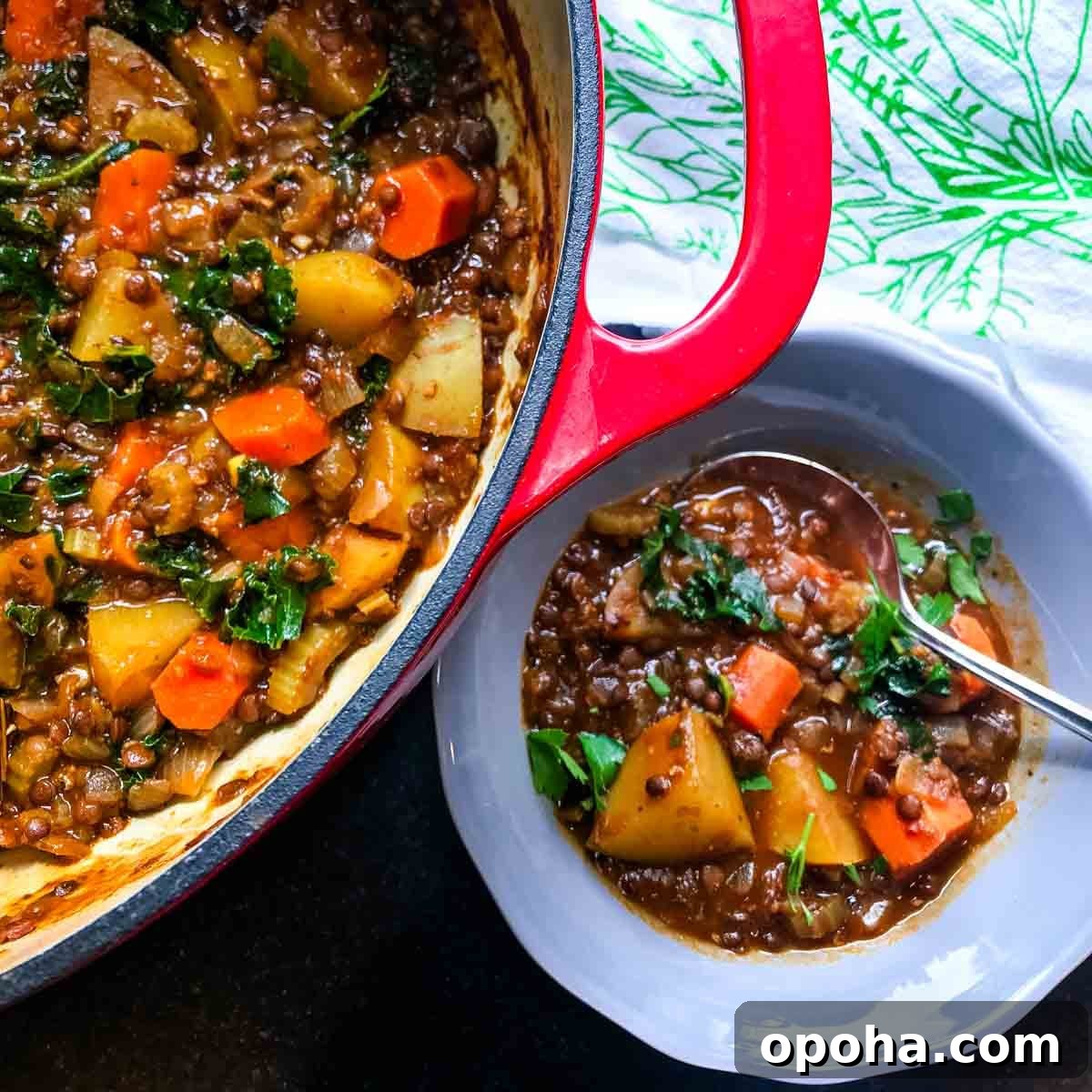 Hearty Vegan Beef-Style Stew Recipe 12 Hearty bowl of lentil stew with chunks of potatoes and carrots, plus wilted greens in a large dutch oven.