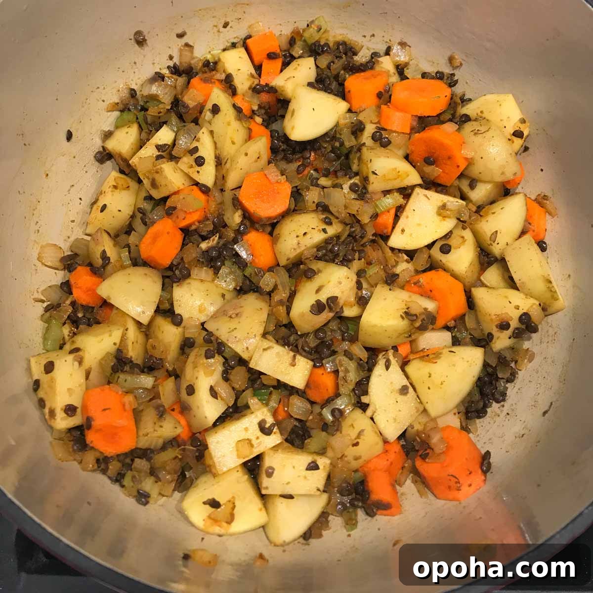 Hearty Vegan Beef-Style Stew Recipe 5 img 5522 4