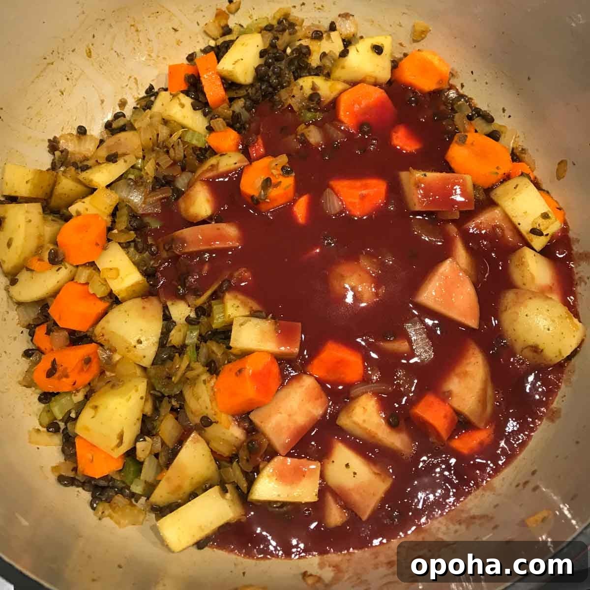 Hearty Vegan Beef-Style Stew Recipe 8 img 5522 7