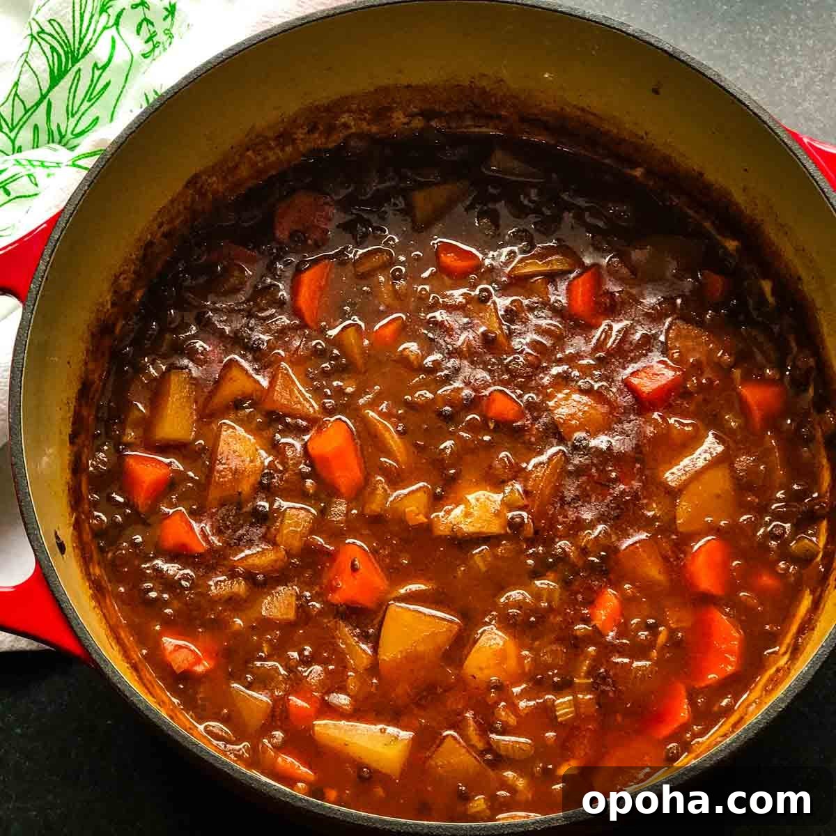 Hearty Vegan Beef-Style Stew Recipe 9 img 5522 8