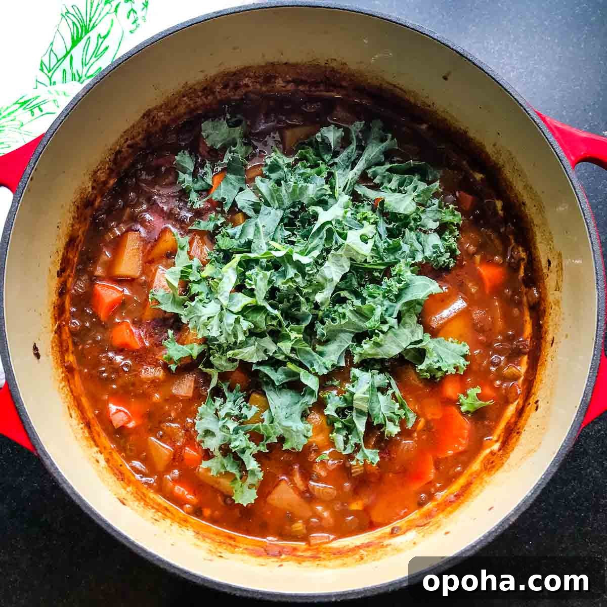 Hearty Vegan Beef-Style Stew Recipe 10 img 5522 9