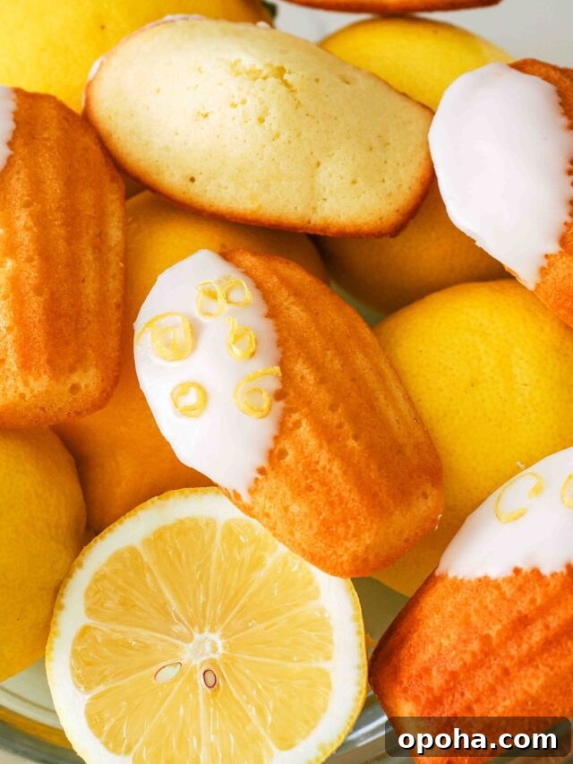 Zesty Lemon Madeleines: Classic French Tea Cakes Recipe 19 Lemon madeleines in a bowl of lemons.