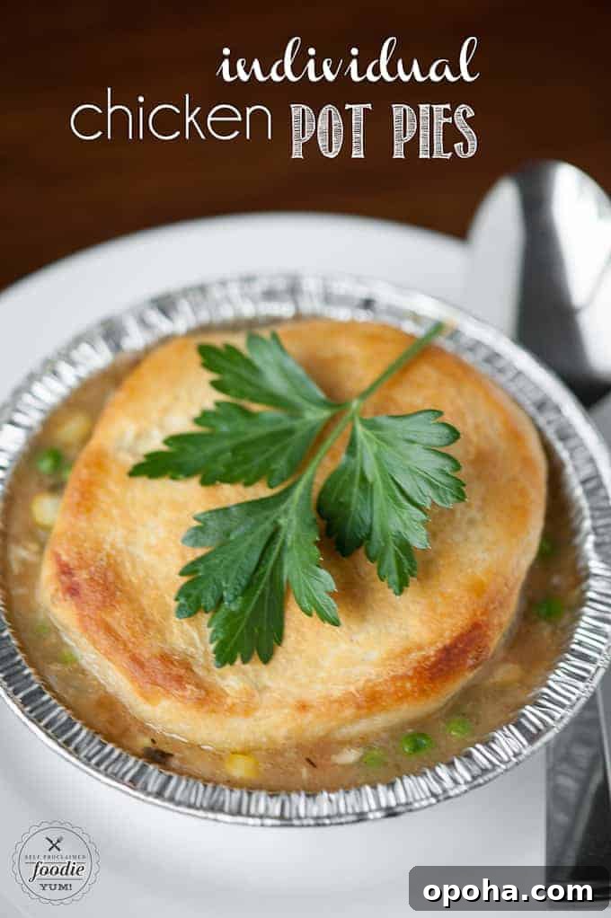 individual chicken pot pie with biscuit 