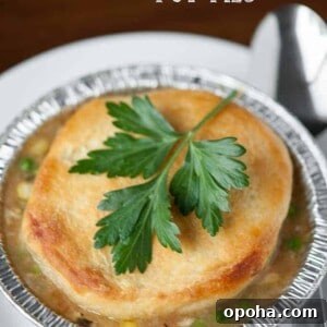 individual chicken pot pie with biscuit