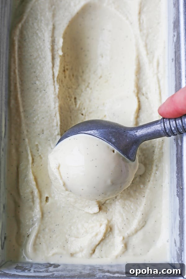 This Paleo Vanilla Bean Ice Cream is creamy, sweet, and so perfect for summer! Only 5 ingredients and ready to be topped with your favorite toppings. Gluten free, dairy free, and naturally sweetened.
