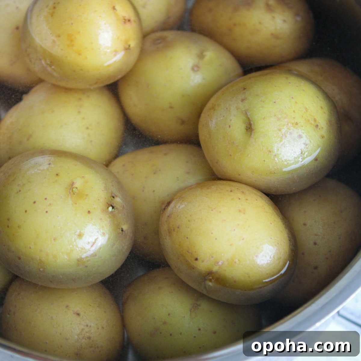 Crispy Air Fryer Smashed Potatoes Recipe 4 Boiling small golden Yukon potatoes in a medium sized pot.