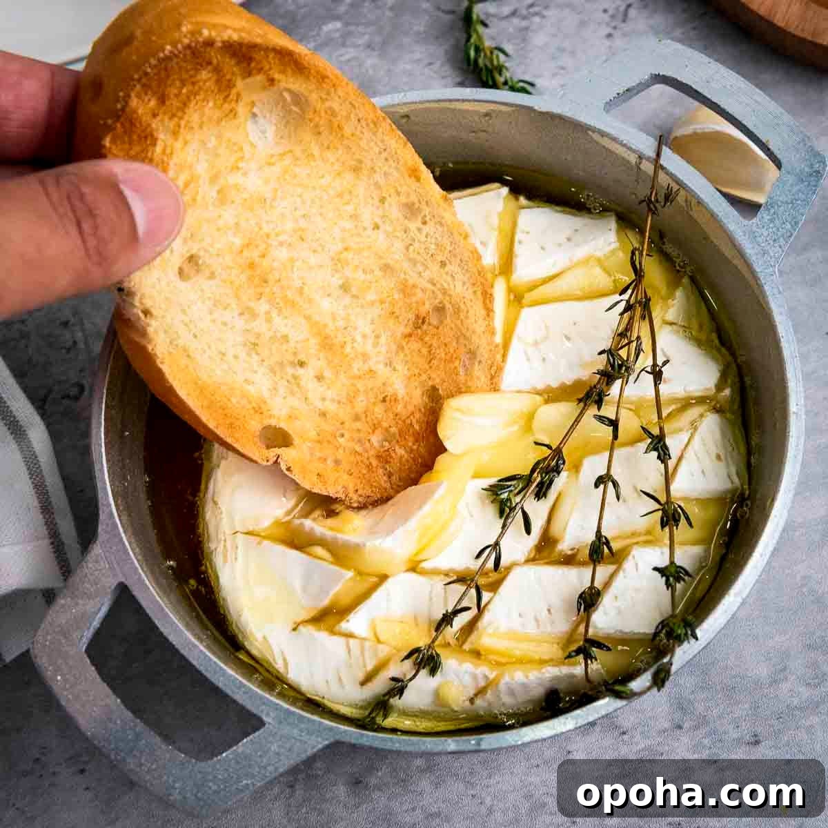 Close up shot of toasted bread being dipped into baked brie with rosemary sprigs on the side all in a small baking dish.