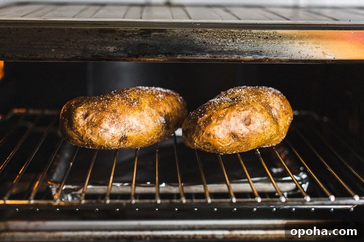 Crispy Air Fryer Baked Potatoes in 30 Minutes 2 air fryer baked potato in breville air fryer horizontal