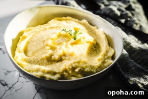 Crispy Air Fryer Baked Potatoes in 30 Minutes 7 creamy mashed potatoes in a bowl overhead