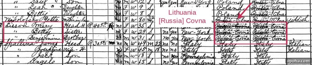 Tracing Immigrant Ancestors: Find Your Family’s Journey Across Oceans 3 Example of 1930 census record entry for Mary Lisson