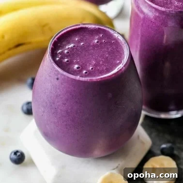 Peanut Butter Banana Oatmeal Smoothie Recipe for Breakfast 8 img 5842 10