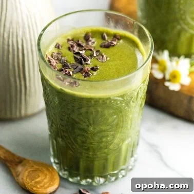 Peanut Butter Banana Oatmeal Smoothie Recipe for Breakfast 9 img 5842 11