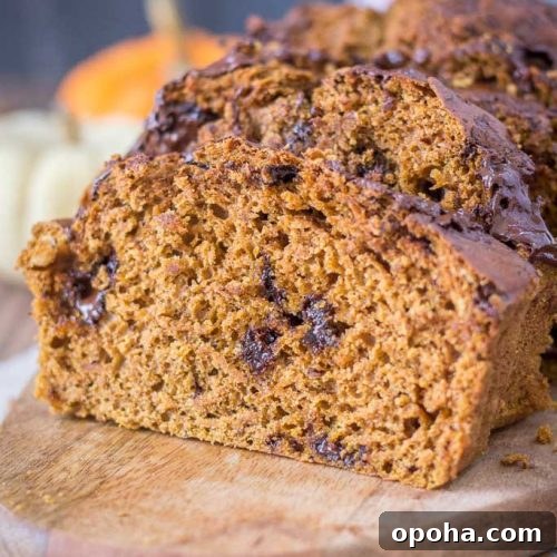 Pumpkin Chocolate Chip Bread