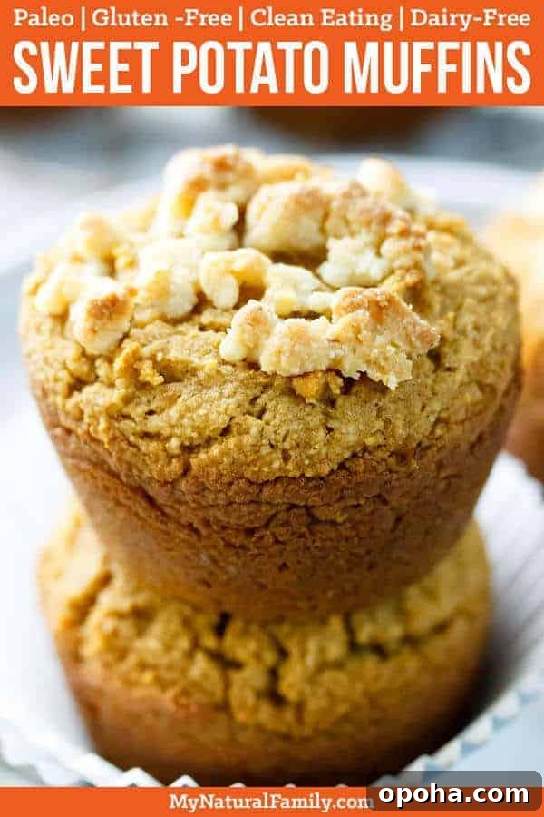 Paleo Sweet Potato Muffins: Moist Grain-Free Recipe 2 Paleo Sweet Potato Muffins Recipe {Gluten-Free, Clean Eating, Dairy-Free}