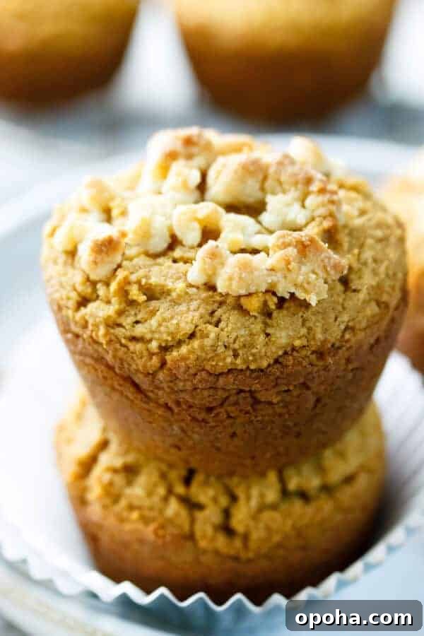 Paleo Sweet Potato Muffins: Moist Grain-Free Recipe 3 Paleo Sweet Potato Muffins Recipe {Gluten-Free, Clean Eating, Dairy-Free}