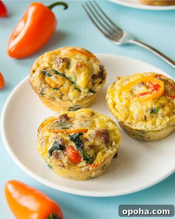 paleo egg muffins