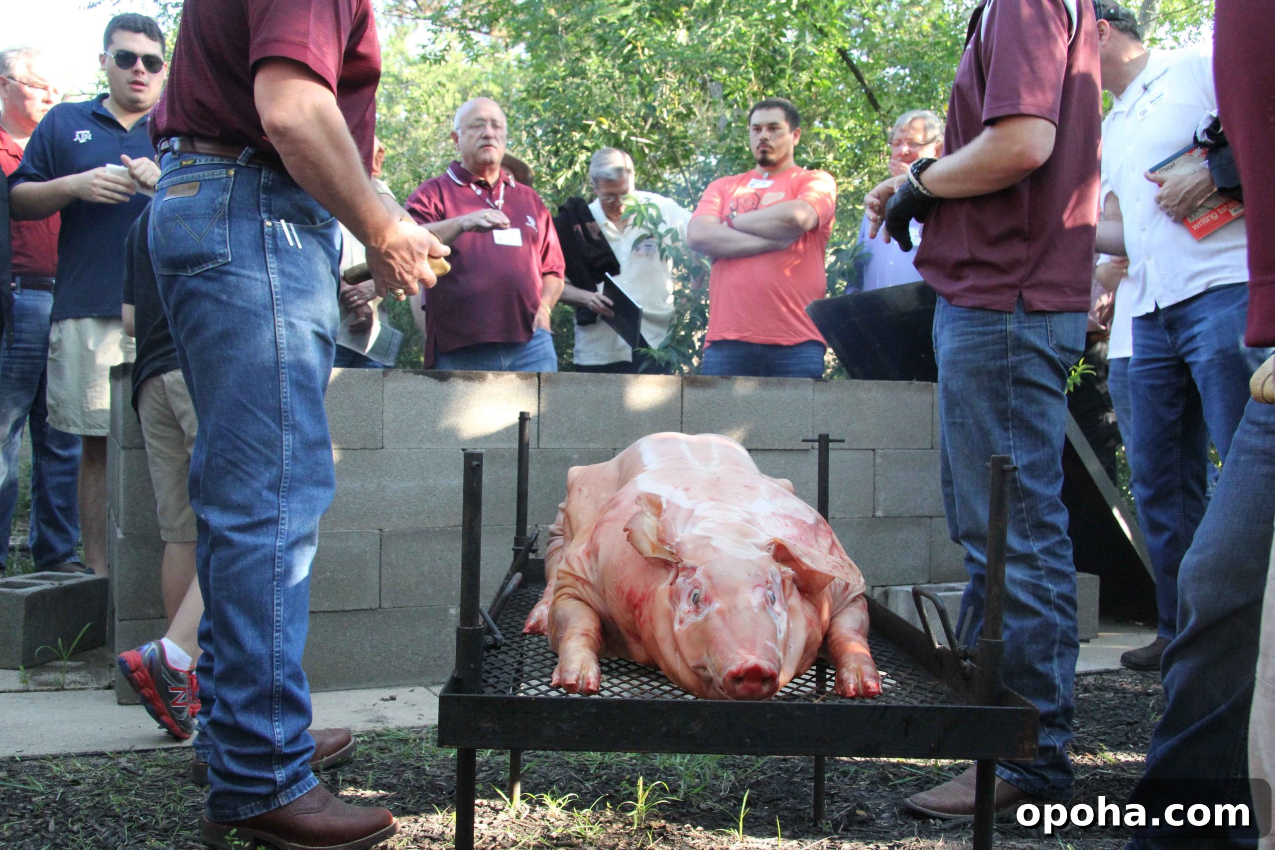 Whole hog preparing to be placed into the cinder block pit