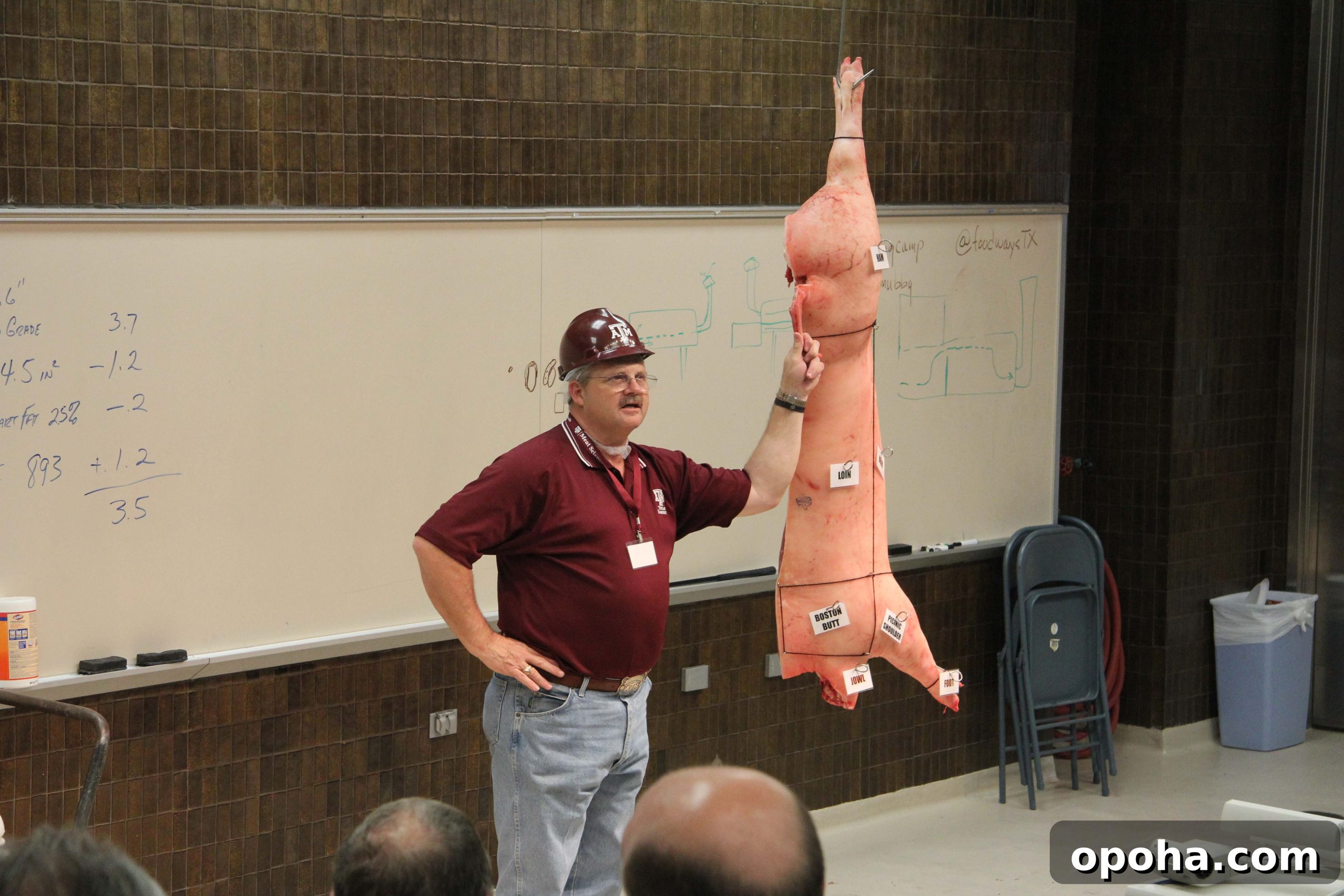 Dr Davey Griffin and porcine friend