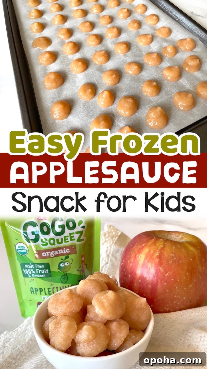 Frozen Applesauce Bites: Kid-Friendly Chilled Snack Recipe 12 Easy Frozen Applesauce Healthy Snacks For Kids | If you have young children at home, then you know how hard it is to keep them away from junk food! This is how you turn applesauce into delicious finger food! These sweet frozen treats are made with just one ingredients and kids of all ages love them. They are like eating dessert but without the guilt!