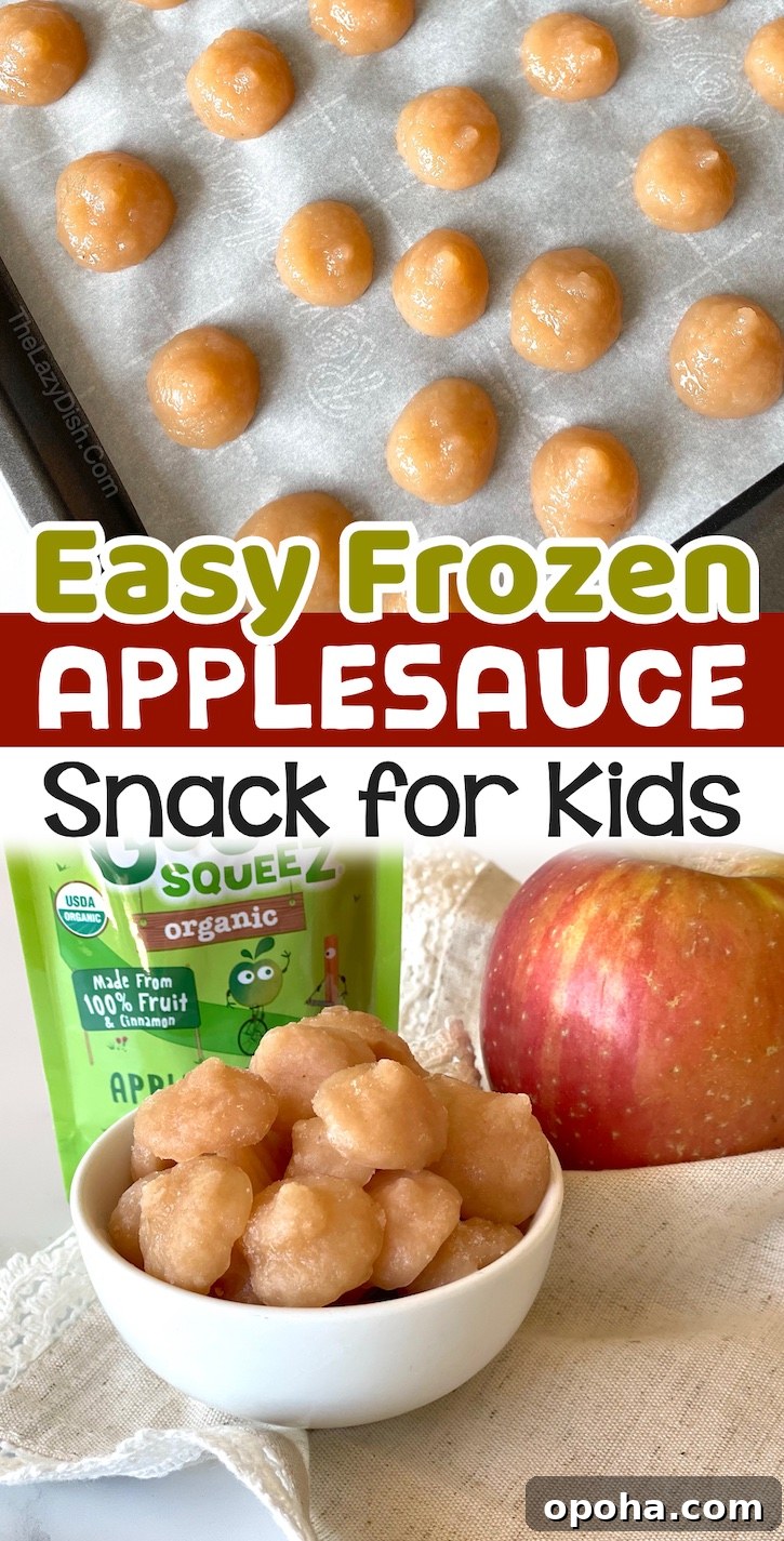 Frozen Applesauce Bites: Kid-Friendly Chilled Snack Recipe 9 Easy Frozen Applesauce Snacks for Kids | My toddlers love these frozen sweet treats! Not only is this clean eating snack healthy, it's super fun to make with just one ingredient. A no bake yummy snack to make at home! Just pop little dollops of applesauce into your freezer. Your picky eater are going to love them.