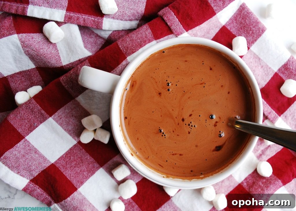 150+ Allergy-Friendly Breakfast Recipes and Menu Ideas 11 Dairy-free & Vegan Homemade Hot Cocoa Mix by AllergyAwesomeness.com