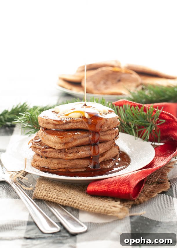 150+ Allergy-Friendly Breakfast Recipes and Menu Ideas 3 gluten-free-vegan-gingerbread-pancakes