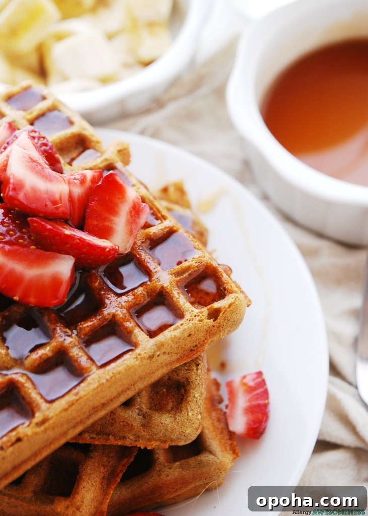 150+ Allergy-Friendly Breakfast Recipes and Menu Ideas 4 Allergy-friendly Blender Waffles