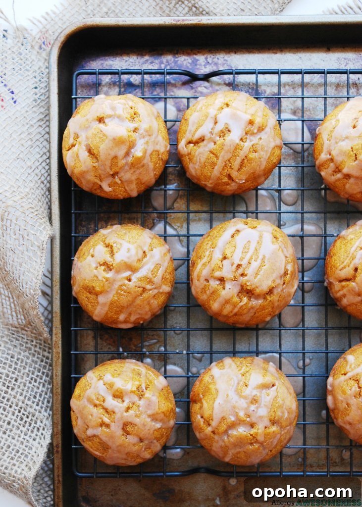 150+ Allergy-Friendly Breakfast Recipes and Menu Ideas 5 vegan-gluten-free-pumpkin-muffin-recipe