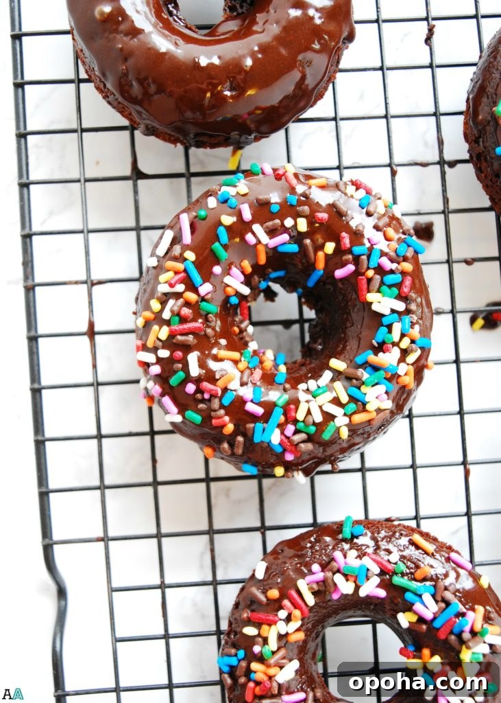 150+ Allergy-Friendly Breakfast Recipes and Menu Ideas 6 Gluten-free & Vegan Double Chocolate Baked Donuts (Gluten, dairy, egg, soy, peanut & tree nut free; top 8 free) Breakfast recipe by AllergyAwesomeness.com