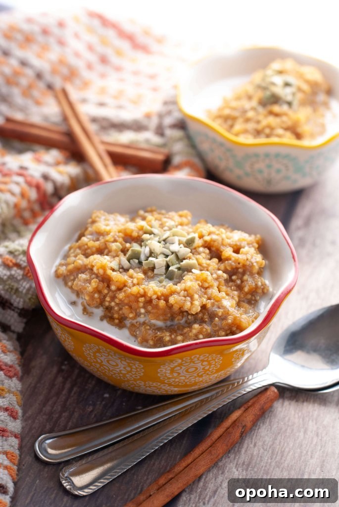 150+ Allergy-Friendly Breakfast Recipes and Menu Ideas 10 instant-pot-pumpkin-pie-quinoa-breakfast