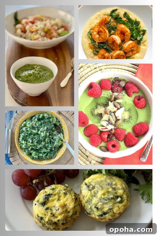 MIND Diet and Leafy Greens: Boost Brain Health with Smart Eating 4 Recipes featuring green leafy vegetables on lizshealthytable.com