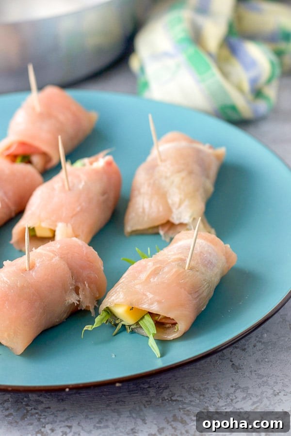 Chicken rolled up with toothpicks sticking out of them on a blue plate